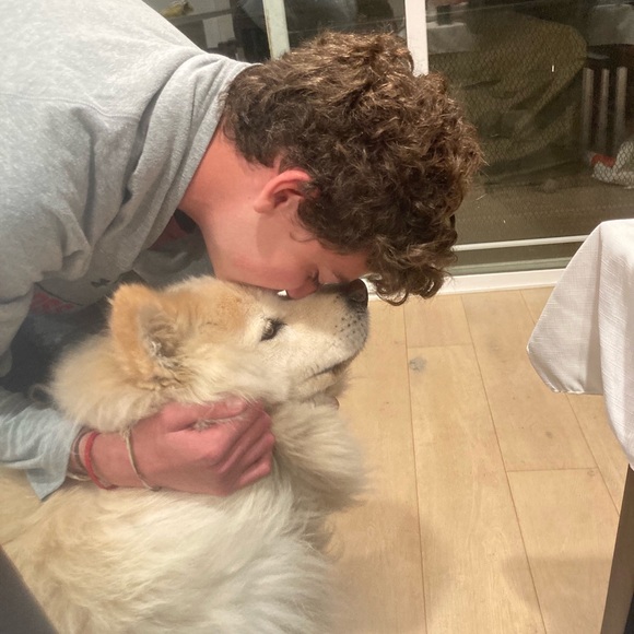 Meet your Posher, Leyla - Picture 4 of 16